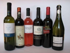6 verschiedene Weinflaschen aus Italien